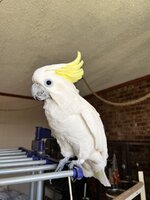 IMG_0542.jpeg