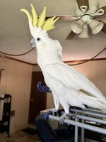 IMG_0540.jpeg