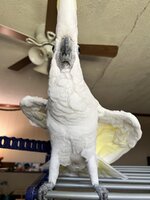 IMG_0539.jpeg