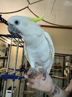 IMG_0465.jpeg