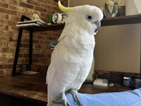 IMG_0449.jpeg