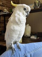 IMG_0444.jpeg