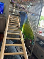 IMG_2411.jpeg IMG_2411.jpeg