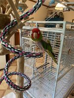 IMG_8506.jpeg