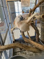 IMG_2581.jpeg