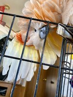 IMG_1991.jpeg