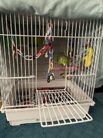 IMG_6887.jpeg