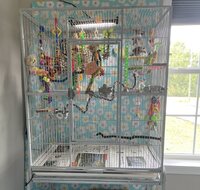 IMG_6868.jpeg