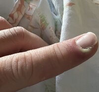 IMG_6177.jpeg