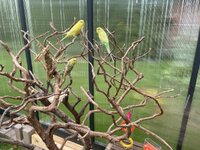 IMG_0452.jpeg