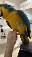 IMG_9426.jpeg