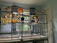 IMG_1622.jpeg