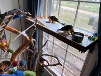 IMG_8004.jpeg