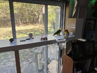 IMG_8622.jpeg