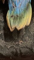 IMG_3572.jpeg IMG_3572.jpeg