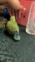 IMG_3566.jpeg IMG_3566.jpeg