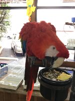 IMG_1922_Original.jpeg