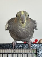 IMG_0541.jpeg