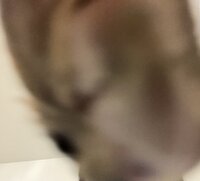 IMG_0052.jpeg