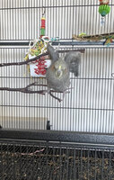 IMG_1223.jpeg