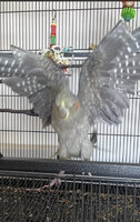 IMG_1224.jpeg