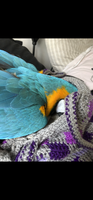IMG_0075.png