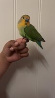 IMG_3590.jpeg