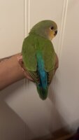 IMG_3592.jpeg