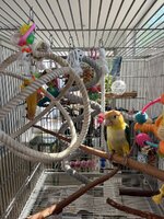 IMG_2007.jpeg