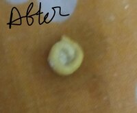 IMG_20240801_190857.JPG