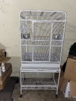 IMG_7957.jpeg