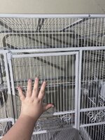 IMG_7959.jpeg