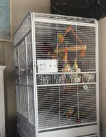 IMG_7978.jpeg