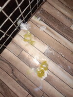 IMG_20240803_190643.jpg