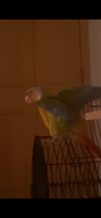 IMG_3622.png IMG_3622.png