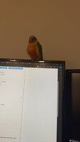 IMG_3642.jpeg
