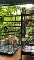 VideoCapture_20240916-124537.jpg