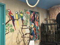 IMG_6148.jpeg