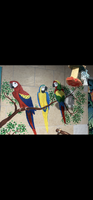 IMG_6142.png