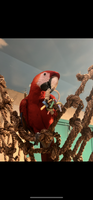 IMG_6143.png