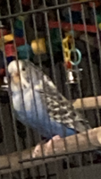 IMG_0025.png