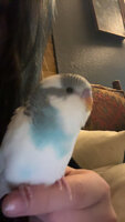 IMG_7318.jpeg