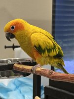 IMG_2171.jpeg