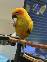 IMG_2169.jpeg