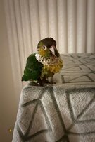 IMG_3879.jpeg