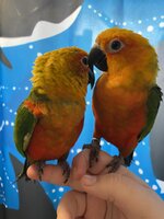 IMG_1992.jpeg
