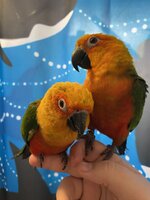 IMG_1994.jpeg
