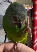 1740803142893.png