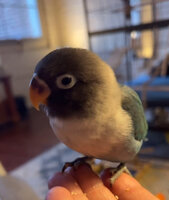 IMG_8151.jpeg