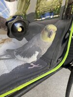 IMG_3568.jpeg